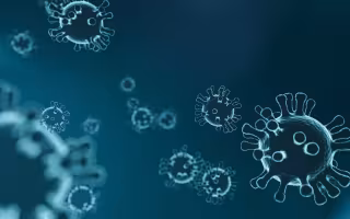 Image of COVID-19 virus as it would appear under a microscope. Image is primarily tones of blue with virus outlines highlighted in white. 