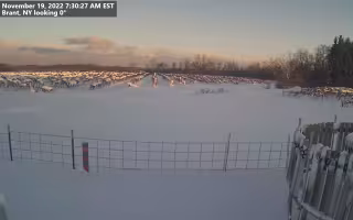 Snow covers the NYS Mesonet site in Brant, N.Y. on Saturday, Nov. 19.