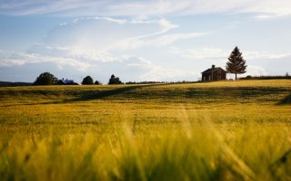 Bucolic scene with grassy field in the foreground and two homes and tree line on the horizon. Bight sky, blue with some clouds, overhead.  