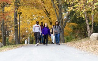 a group of 5 students walk on a path under trees with yellow leaves