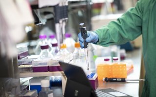 A researcher collects a sample from a test tube at The RNA Institute.