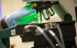 A student researcher points a green laser at a sample in the Lednev lab.
