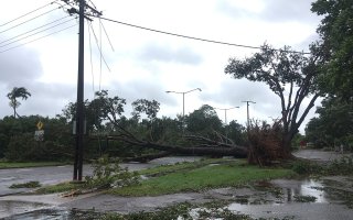 A downed tree damages power lines following a severe storm.