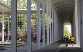 Students walking under archways on UAlbany's uptown campus