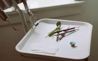 White plastic tray of dental implements including white gauze pads, various metal picks, and a small container of fluoride with a green metallic cap