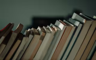 A row of books leans in a shadow on a shelf. 