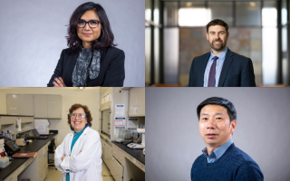 A four-photo collage against a purple background consisting of two portraits of women and two of men.