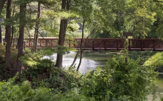 Indian Pond Greenery