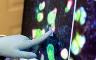 A gloved hand points to a computer screen depicting colorful green, pink and blue blobs of color.