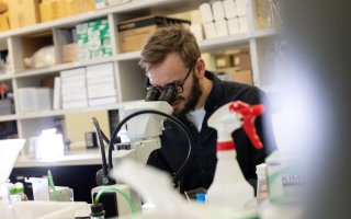 A man sits behind a lab bench peering into a white microscope.