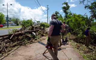 A man with his back to the camera holds a chainsaw in one hand while standing next to a pile of fallen limbs and other debris on a bright, sunny day.
