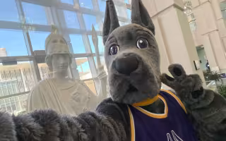UAlbany'e mascot Damien the Great Dane takes a selfie with the statue of Minerva, framed in windows.