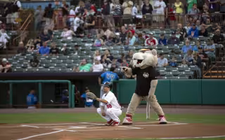  Tri-City ValleyCats mascot Southpaw awaits the first pitch from behind home plate.