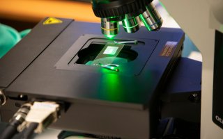 A green laser light shines on a sample to measure the scattered radiation. 