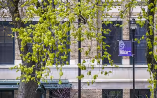 Tree leaves in spring bloom frame a brick building and lamppost bearing a purple banner that reads "College of Nanotechnology, Science, and Engineering" below the Minerva logo.
