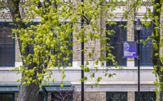 Tree leaves in spring bloom frame a brick building and lamppost bearing a purple banner that reads "College of Nanotechnology, Science, and Engineering" below the Minerva logo.