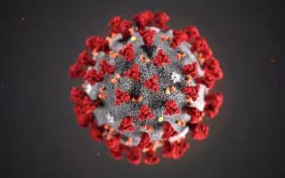 Imagine of virus under microscope