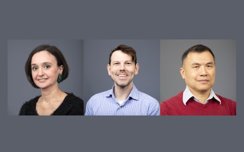 Professors Scimemi, Valm, and Wang