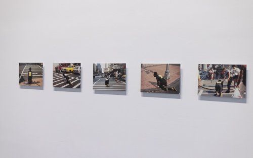 Five pieces hang in a gallery, all photographs depicting a person crawling across a crosswalk on their hands and knees.