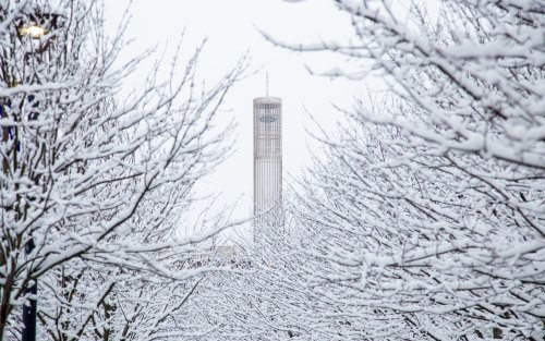 A wintery image of UAlbany's Carillon surrounded by trees with snow.