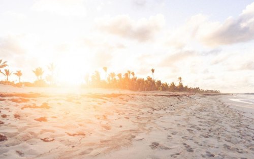 Sunlight flares over a tropical beach with palm trees and footprints.