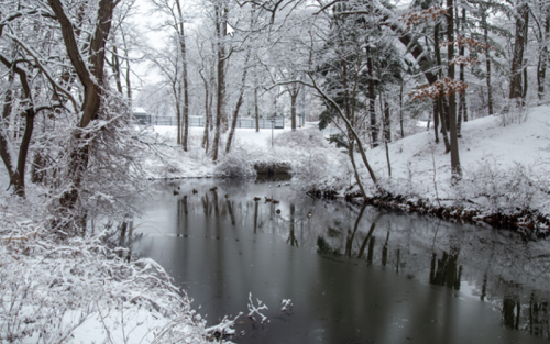 UAlbany campus in the snow.