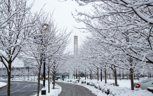 The Uptown Campus covered in snow, with the carillon visible through snow-covered trees and above freshly cleared walkways.