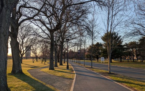 An image of an empty bike path on UAlbany's campus surrounded by trees, grass, lamp posts and a road on the right side of the image.