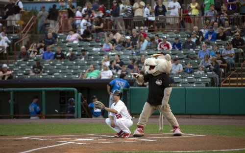  Tri-City ValleyCats mascot Southpaw awaits the first pitch from behind home plate.