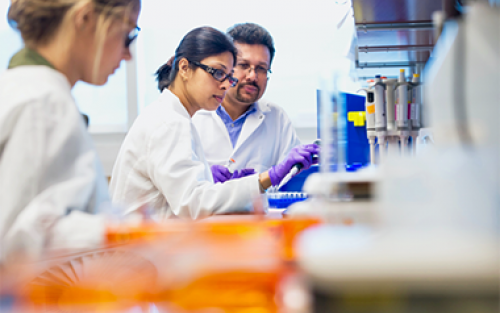 Bijan Dey, at right, works pre-2020 in his lab with an RNA researcher and, at left, a student.