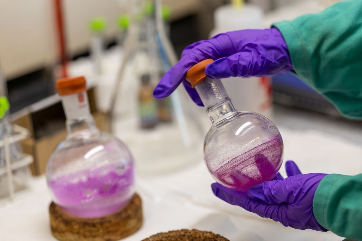 A person wearing purple gloves handles a glass florence flask containing a bright purple substance.