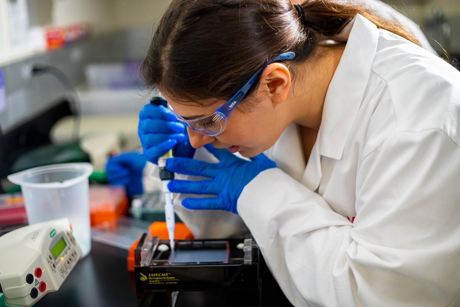 Melinda Larsen's Lab