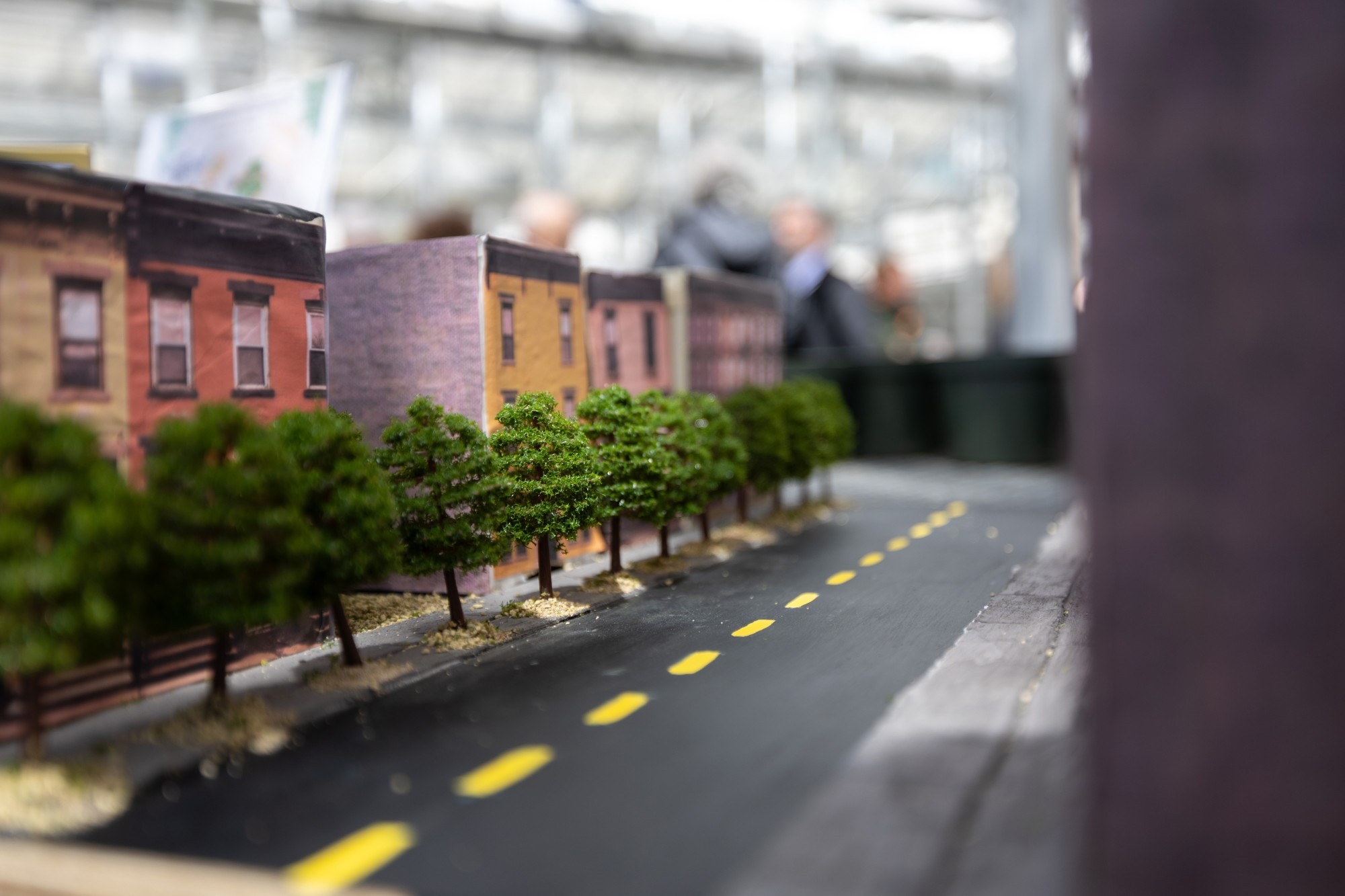 A replica of trees in front of houses on a city of Albany street.