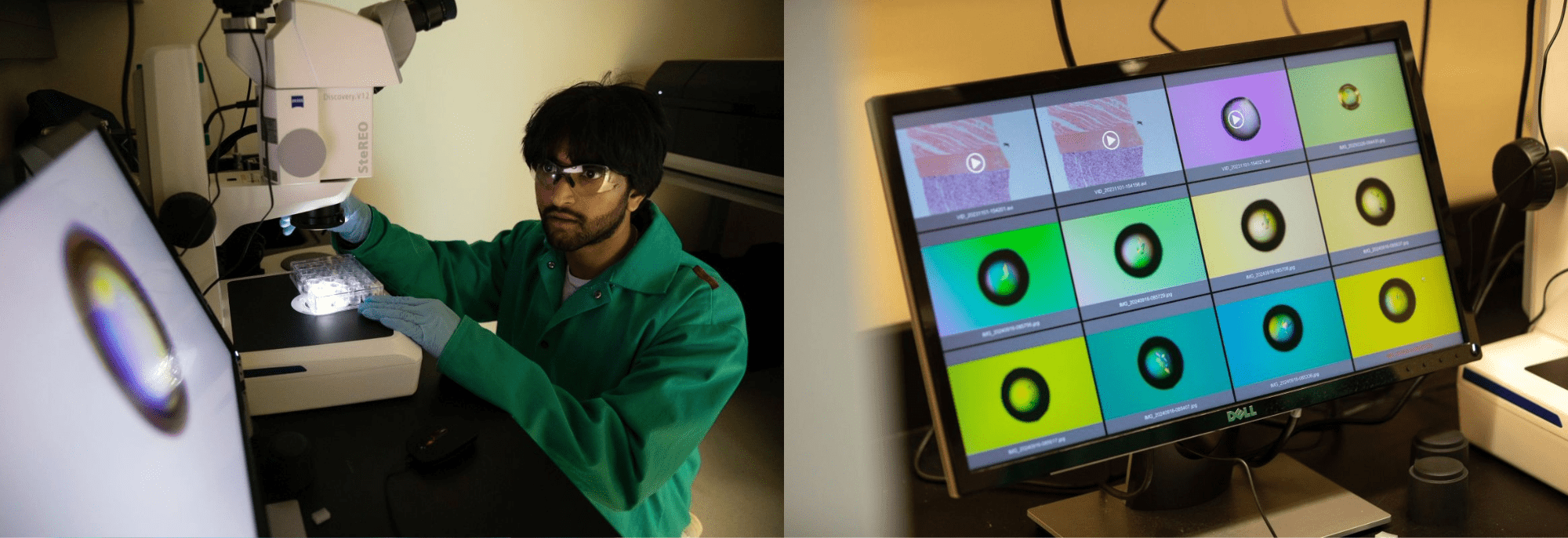 Composite image. At left, a young man wearing protective glasses and a green lab coat, adjusts a well tray under a microscope. The image at right shows a computer screen displaying images captured using the microscope.
