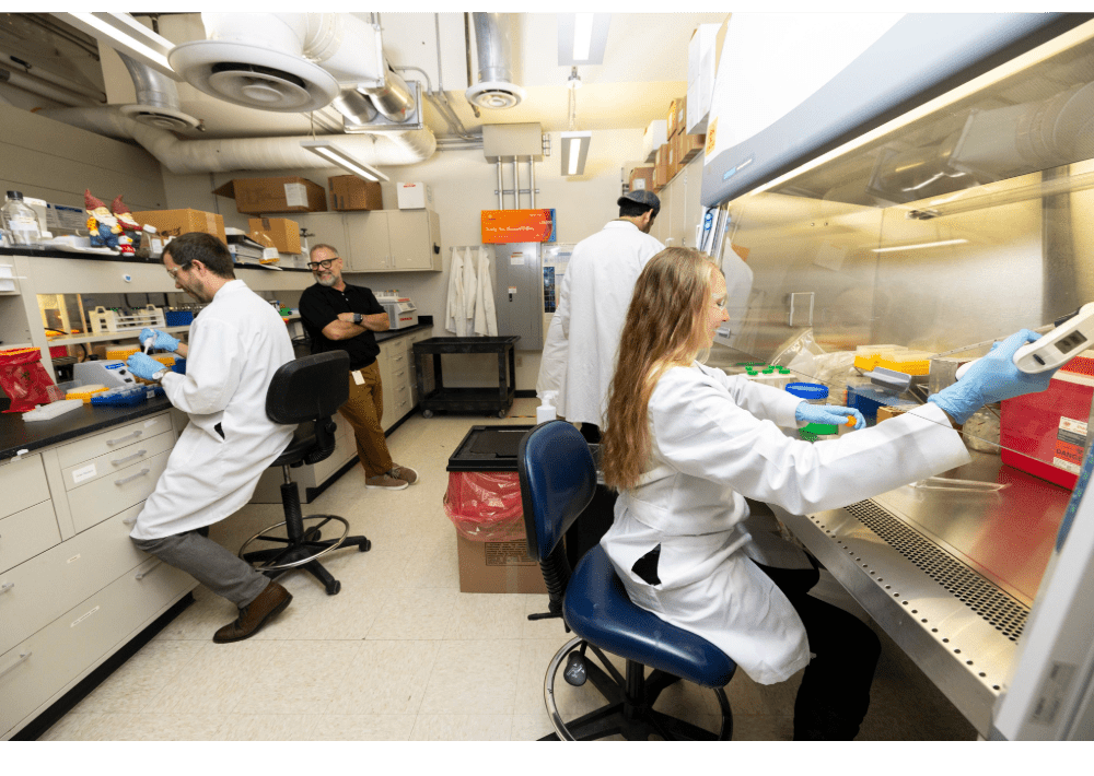 A woman with long blond hair wearing a white lab coat and protective glasses works with pipettes under a glass lab hood. Three other people are at work and conversing behind her.