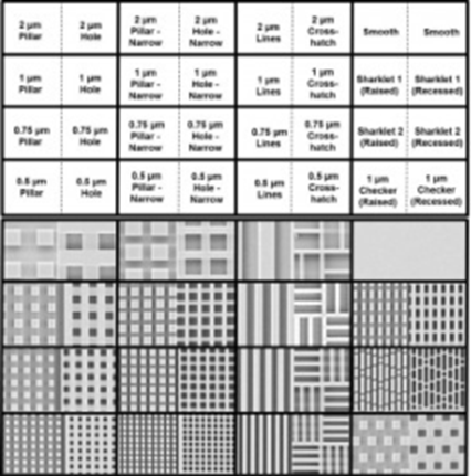 This is an image showing electron microscope close-up images of micrometer scale topographic patterns on a polymer surface. 