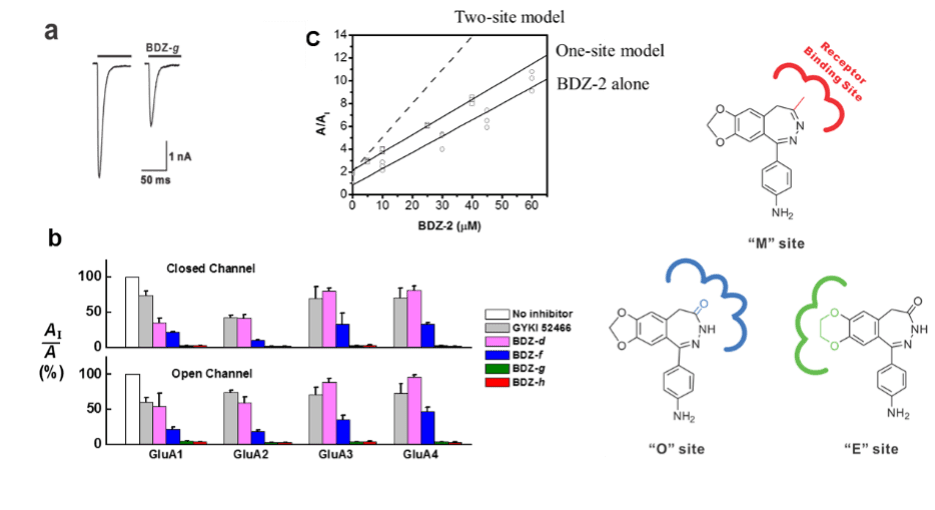 A graphic showing various images, including three graphs showing chemistry data and three chemical compounds labeled M, O and E sites.