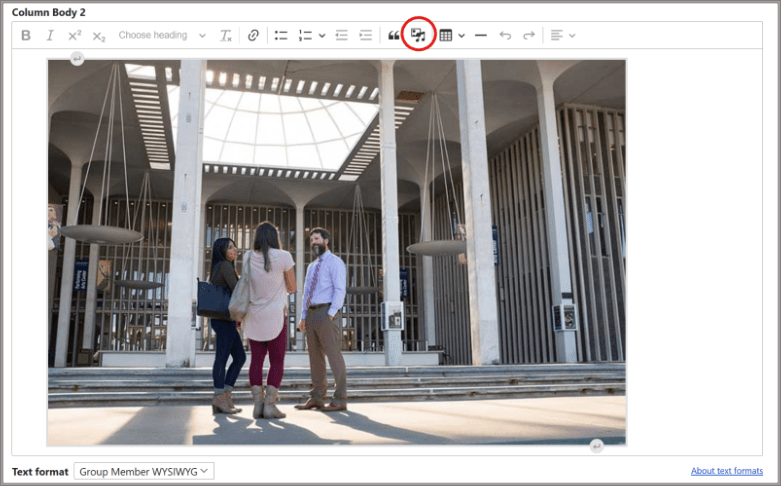 A screenshot of a Drupal editing view, with a photo placed inside a content area. The new image icon is circled in red.