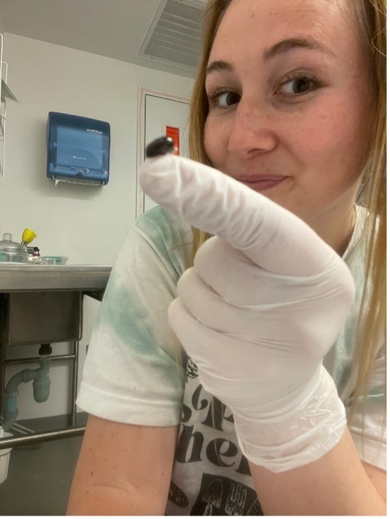 Rachel holds up a sample in the lab.