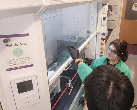 Assisant Professor Michael Yeung discusses materials chemistry with junior chemistry major Alma Kolakji.
