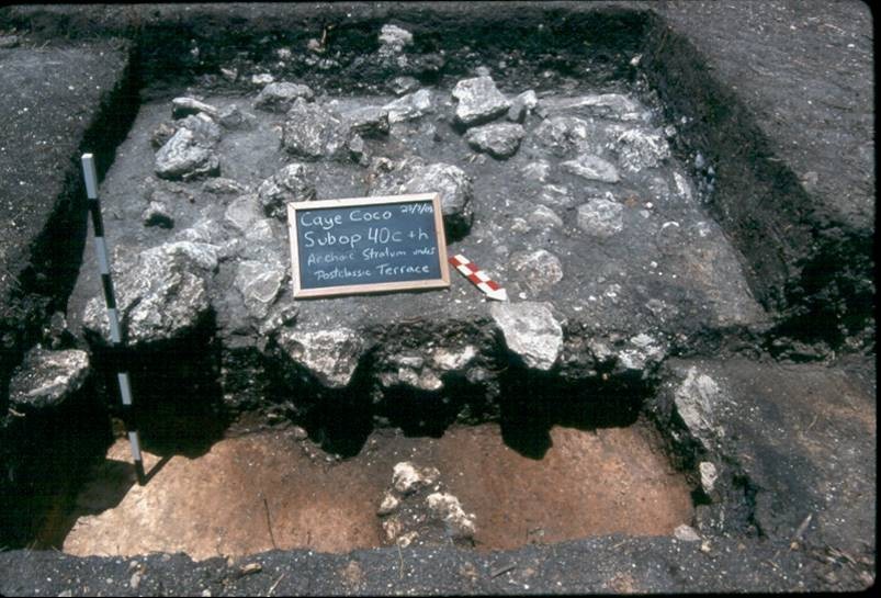 An excavation of aceramic deposits discovered under a Terminal classic cobble terrace.