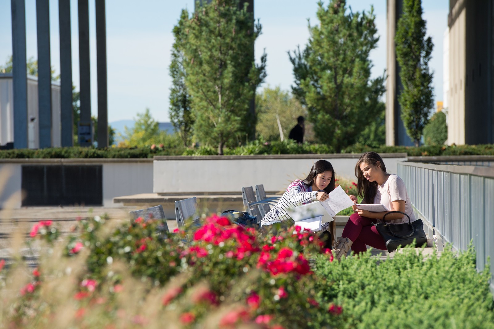 Two students studying on the UAlbany Podium