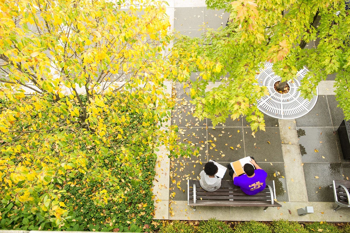 2 students studying on the UAlbany academic podium