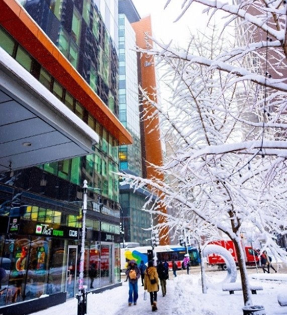 Concordia University