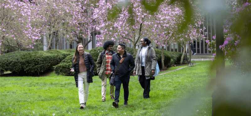 Four students walk through the grass on UAlbany's Academic Podium