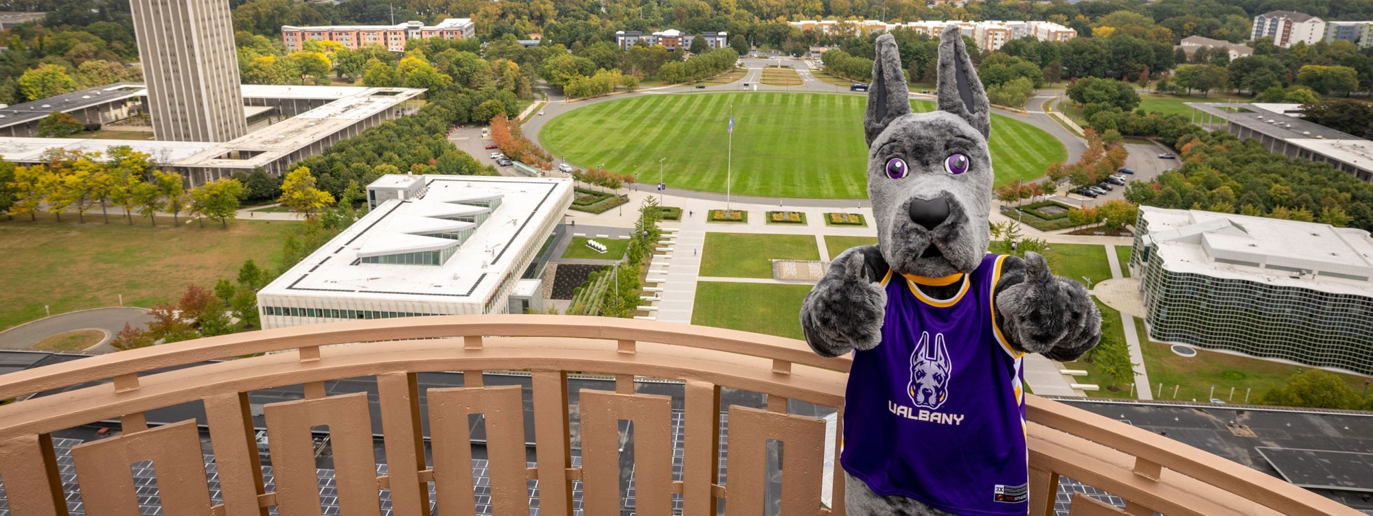 UAlbany's mascot, Damien the Great Dane, stands on the top of the carillon and gives a thumbs up.