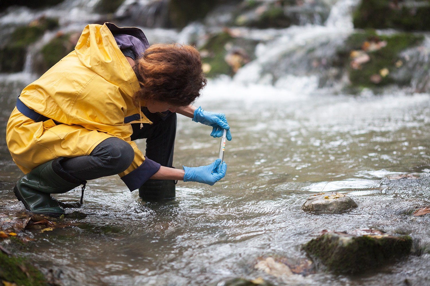 Environmental Engineering stock photo