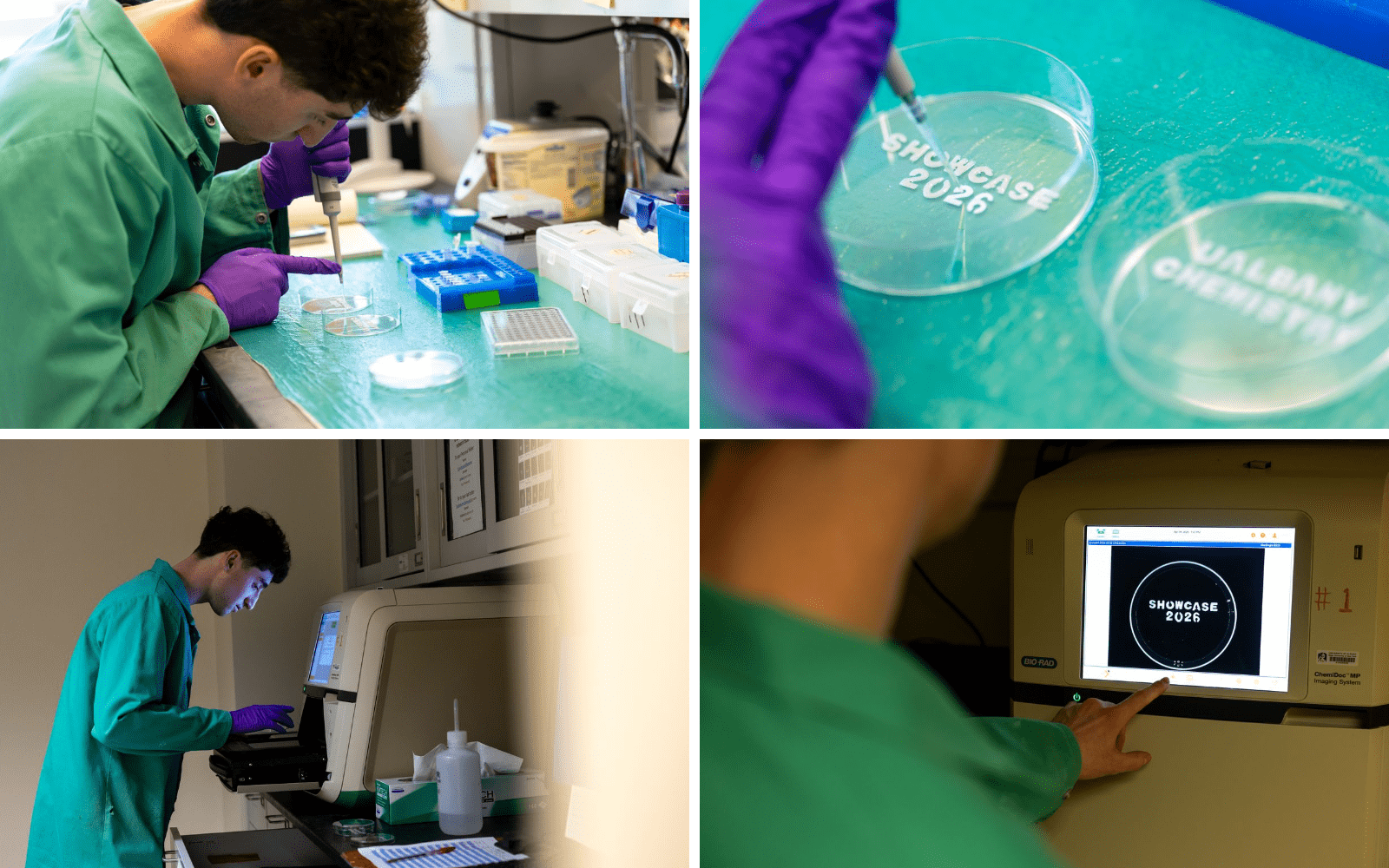 Composite image containing 4 photographs, each depicting a step in a demonstration of Emmett’s fluorescent nanoparticle technology. The first shows him using a pipette to dispense a clear liquid into clear plastic petri dishes. The second is a close-up of the 2 petri dishes which contain paper letters spelling out “UAlbany Chemistry” and “Showcase 2026”. The third is a picture of Emmett placing a petri dish inside an imaging device. The 4th shows “Showcase 2026” glowing on the digital readout panel on the f