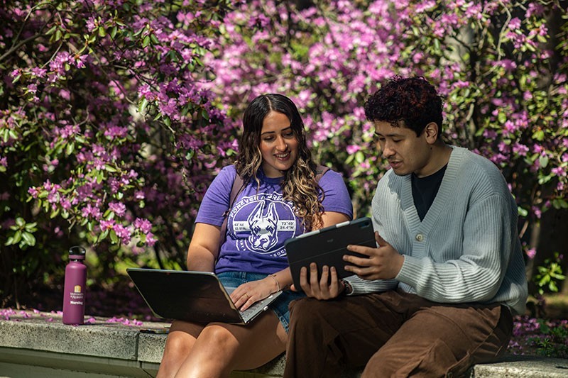 Two students working together on laptops outside on campus.