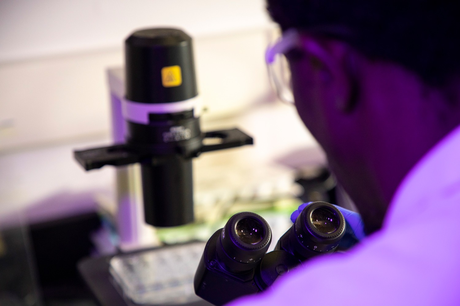A researcher working in a UAlbany nanotechnology lab.